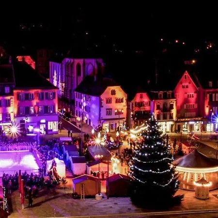 Appartement Hypercentre T2 50 M2, Château Des Rohan