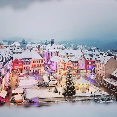 Appartement Hypercentre T2 50 M2, Château Des Rohan