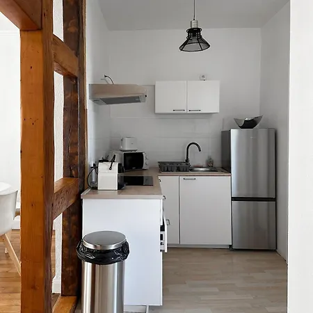 Hypercentre T2 50 M2, Chateau Des Rohan Apartment *